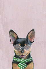 Formal Puppy