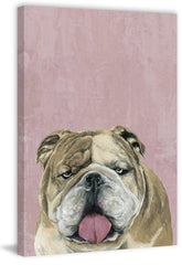 Charming Dog