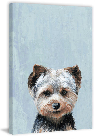 Mischievous Dog