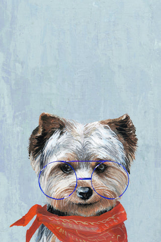 Sassy Dog