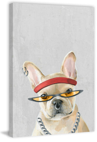 Hip-hop Dog