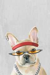 Hip-hop Dog