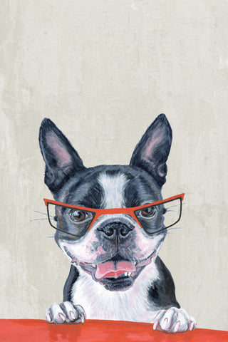 Dog Prof
