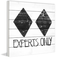 Experts Only