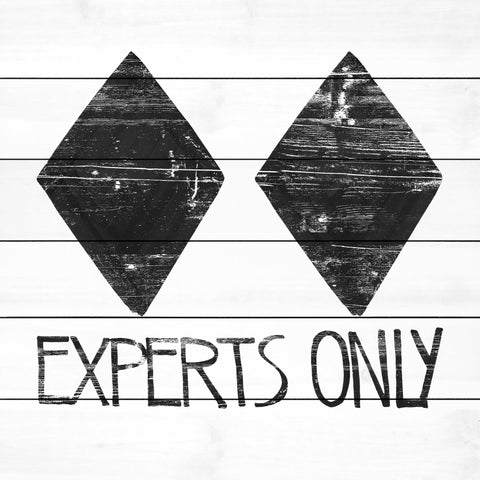 Experts Only