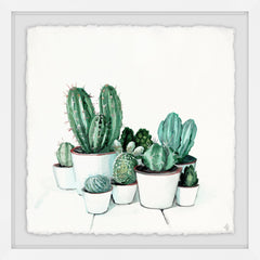 The White Pots