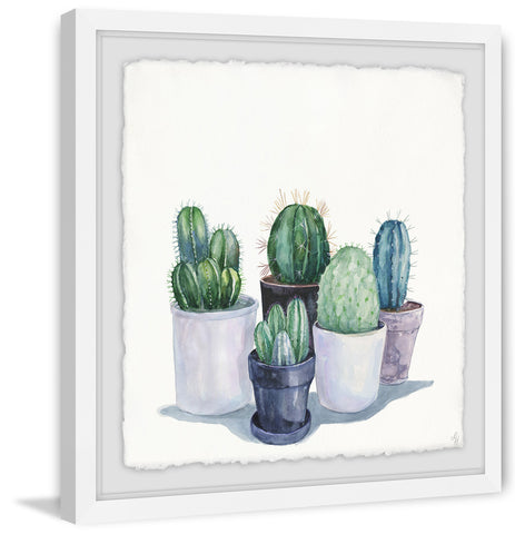 Rounded Cacti