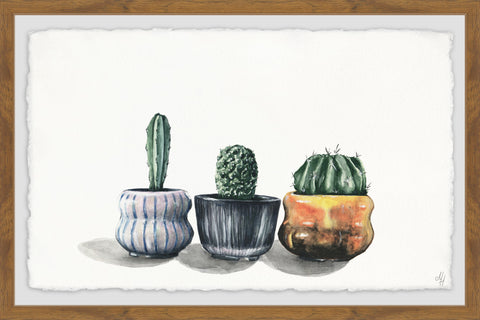 Rounded Pots