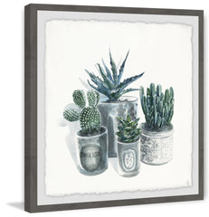 Cutie Succulents