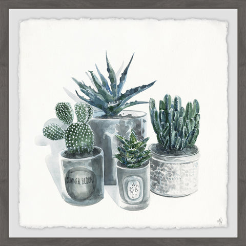 Cutie Succulents