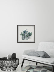 Cutie Succulents