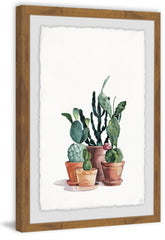The Cacti
