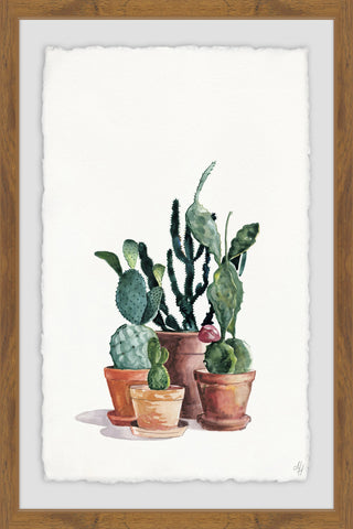 The Cacti