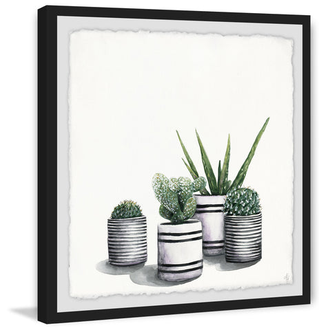 Lined Pots
