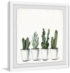 Pretty Cacti