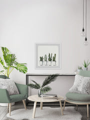 Pretty Cacti