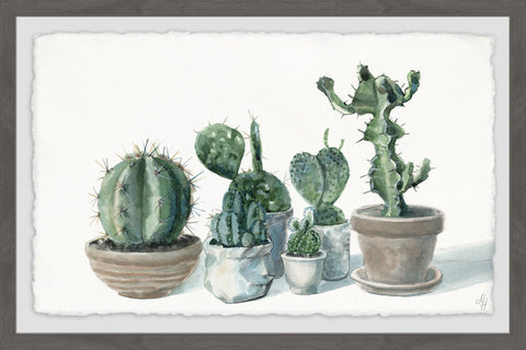 Potted Succulents II