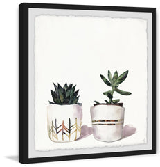 The Cacti Duo
