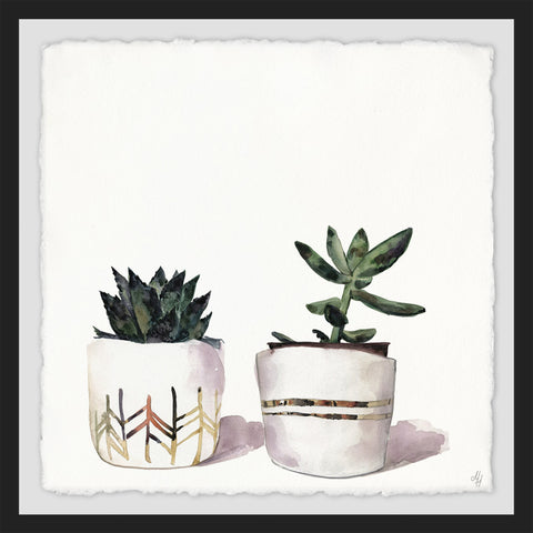 The Cacti Duo