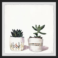 The Cacti Duo
