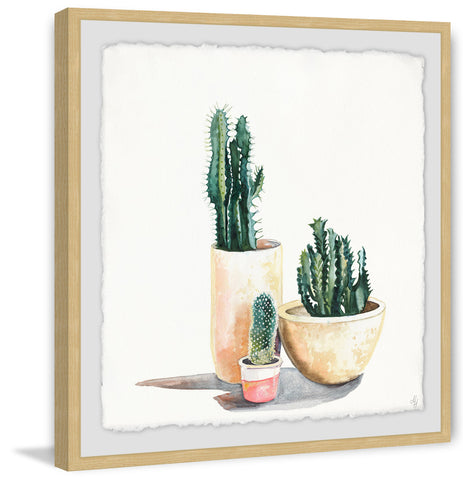 Desert in Pot