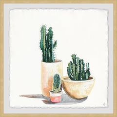 Desert in Pot