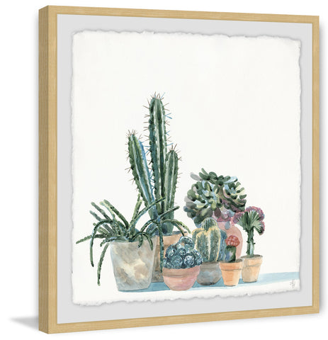 Little Cacti Garden