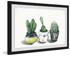 Cacti Trio