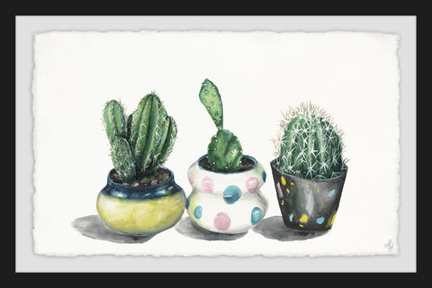 Cacti Trio