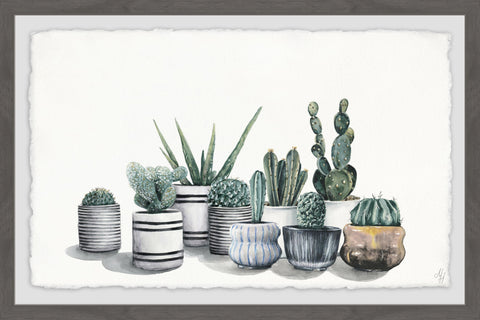 Succulent Desert