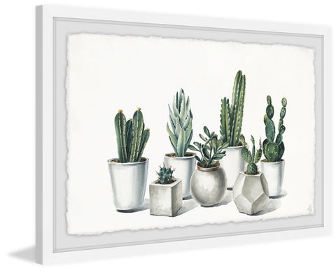 White Potted Cacti