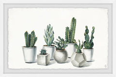 White Potted Cacti