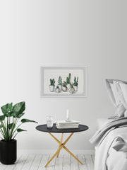 White Potted Cacti