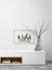 White Potted Cacti
