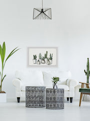 White Potted Cacti