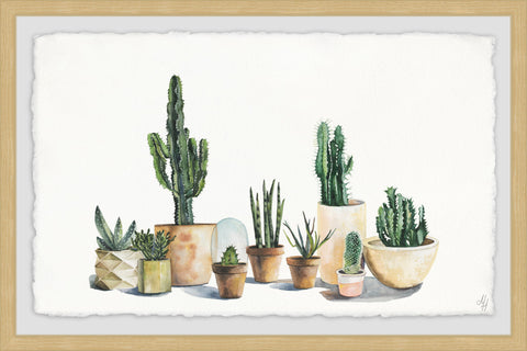 Cacti Forest