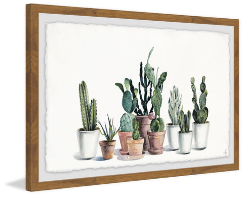 Cacti Clan