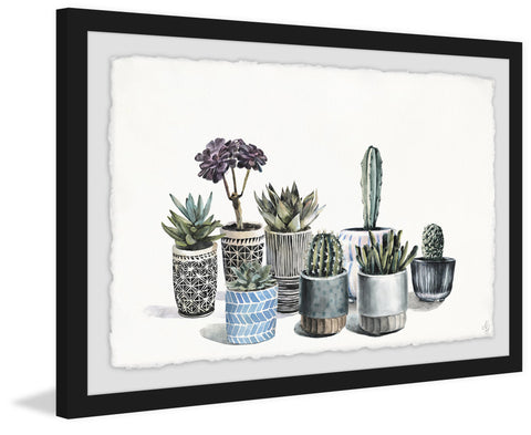 Garden of Succulents
