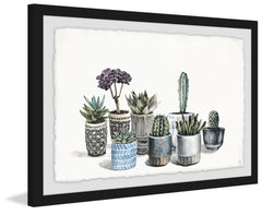 Garden of Succulents