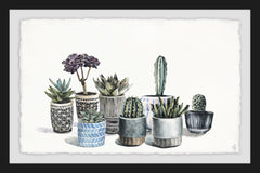 Garden of Succulents