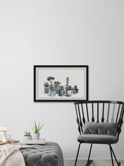 Garden of Succulents
