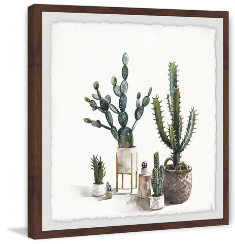 Greeny Succulents