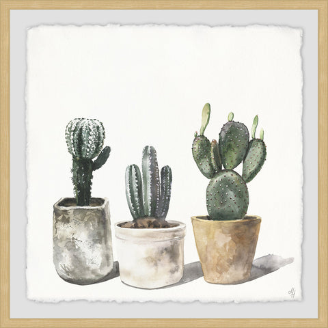 Rounded Trio