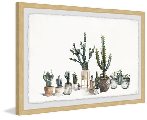 Cacti Haven