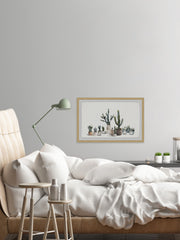Cacti Haven