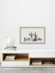 Cacti Haven