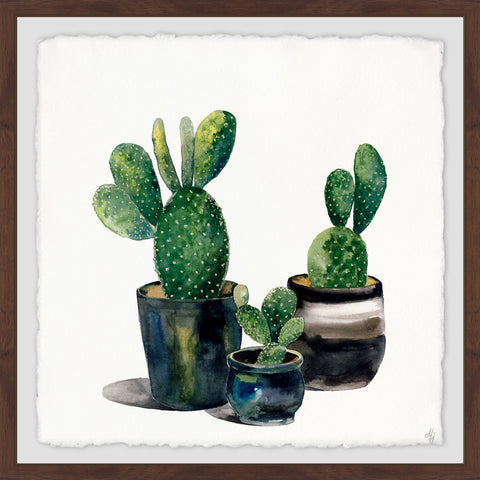 Greeny Succulents II