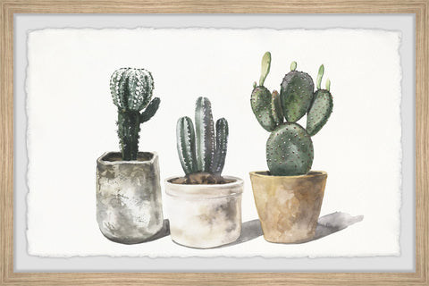 Rounded Trio II