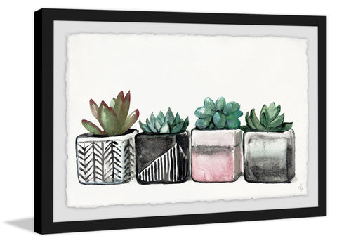 Succulent Party