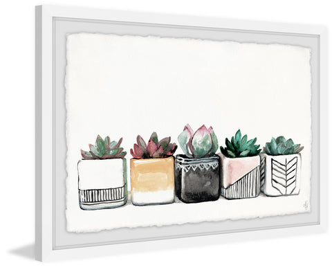 Succulent Quintet